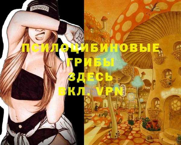 MDMA Premium VHQ Белоозёрский